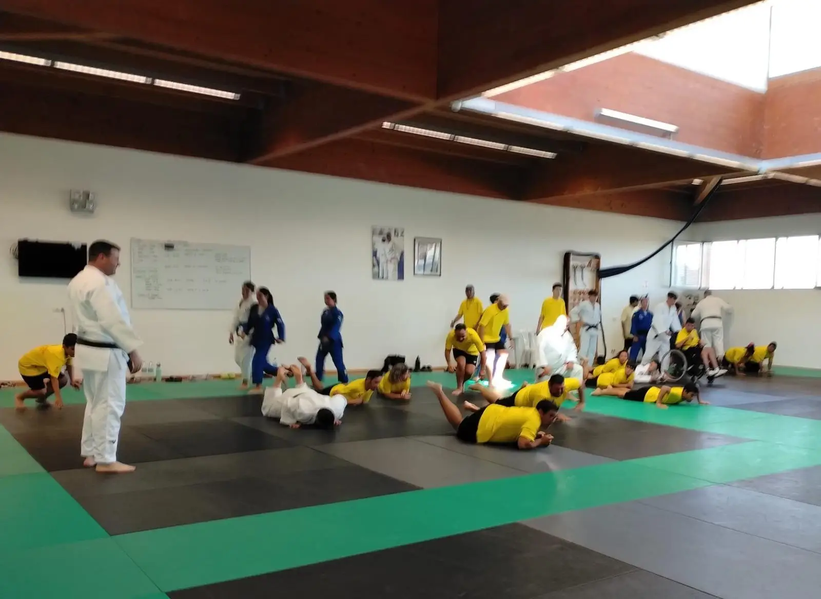 ADDIF y Club Judo Sant Jordi celebran una nueva jornada inclusiva dentro del VII Circuit Esportiu Inclusiu d’Eivissa