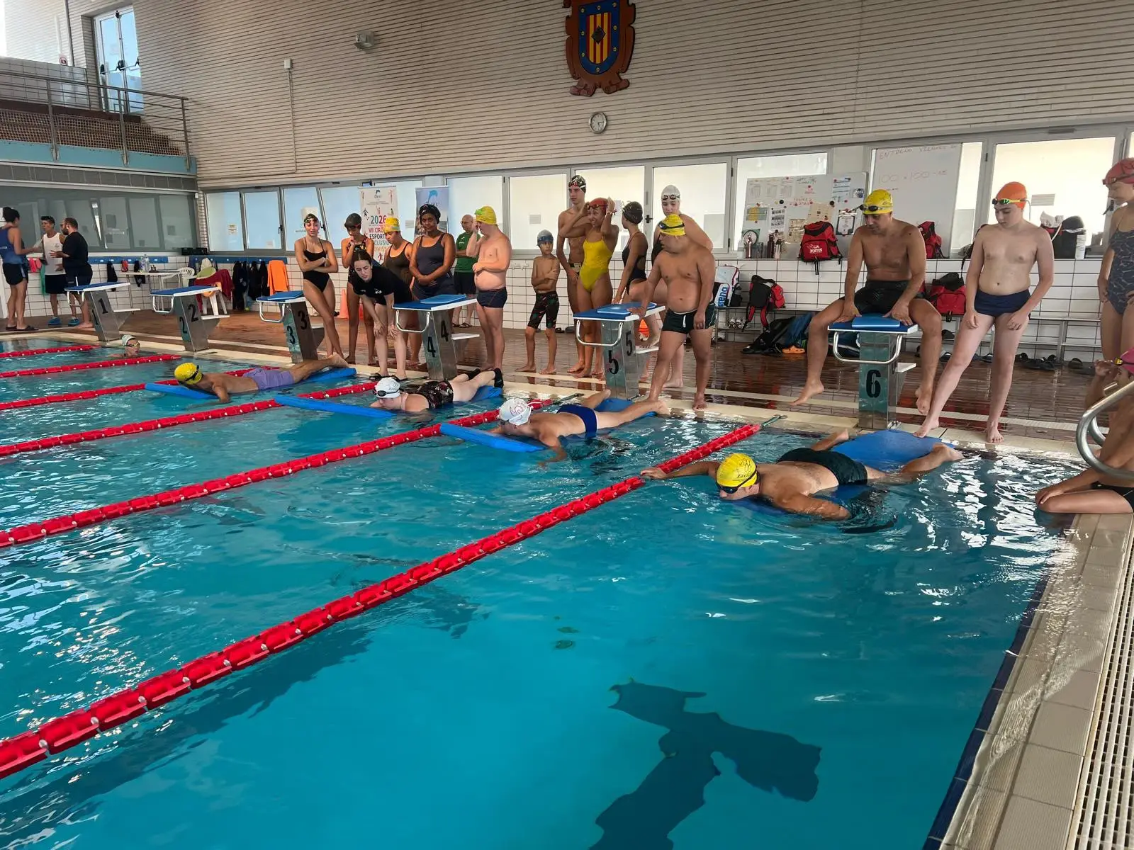 ADDIF fomenta la inclusión a través de una jornada de natación junto al Club Natación Portus de San Antonio