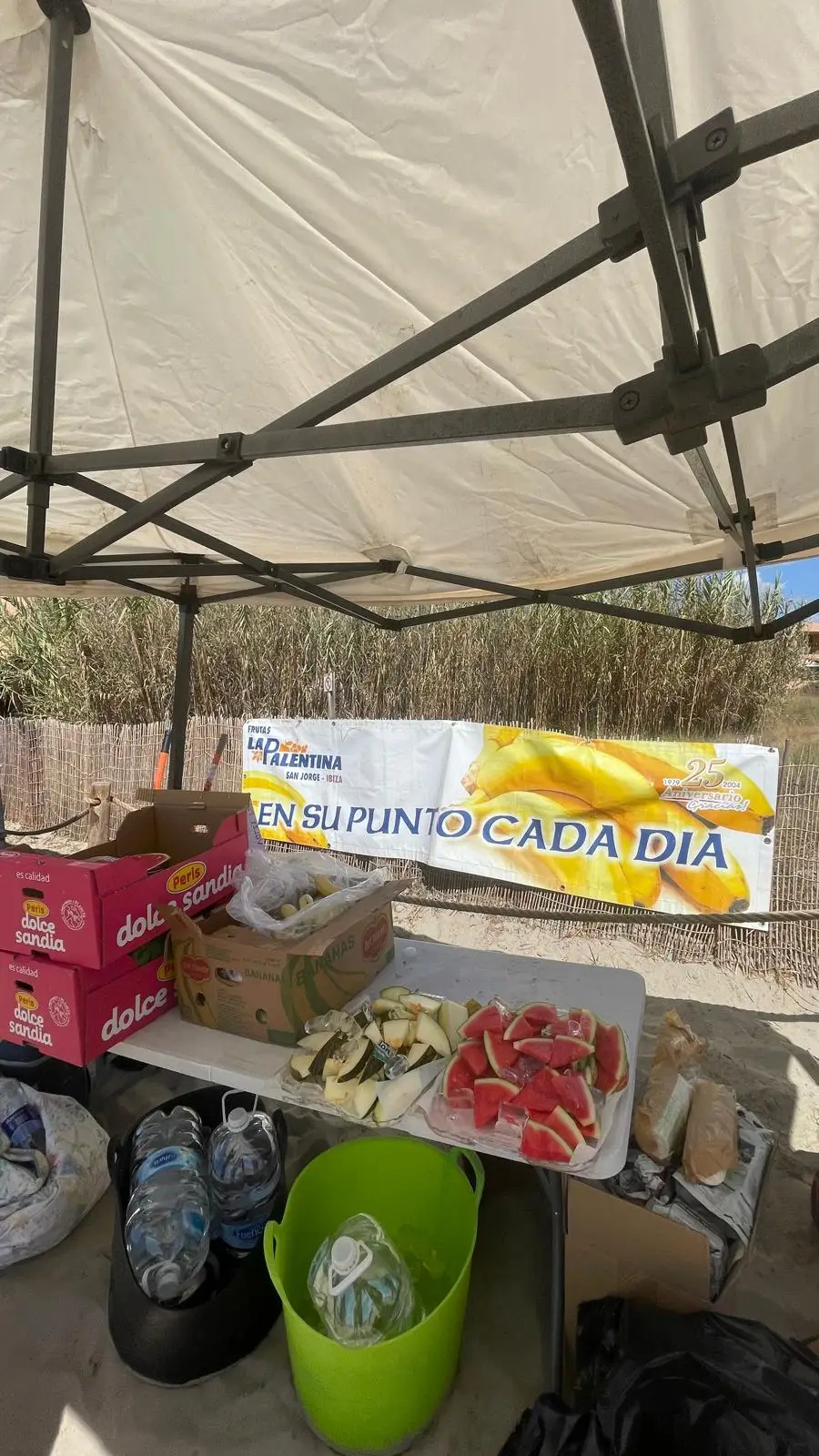 Ibiza vibra con el vóley playa en el Torneo Trasmapi del CV Eivissa