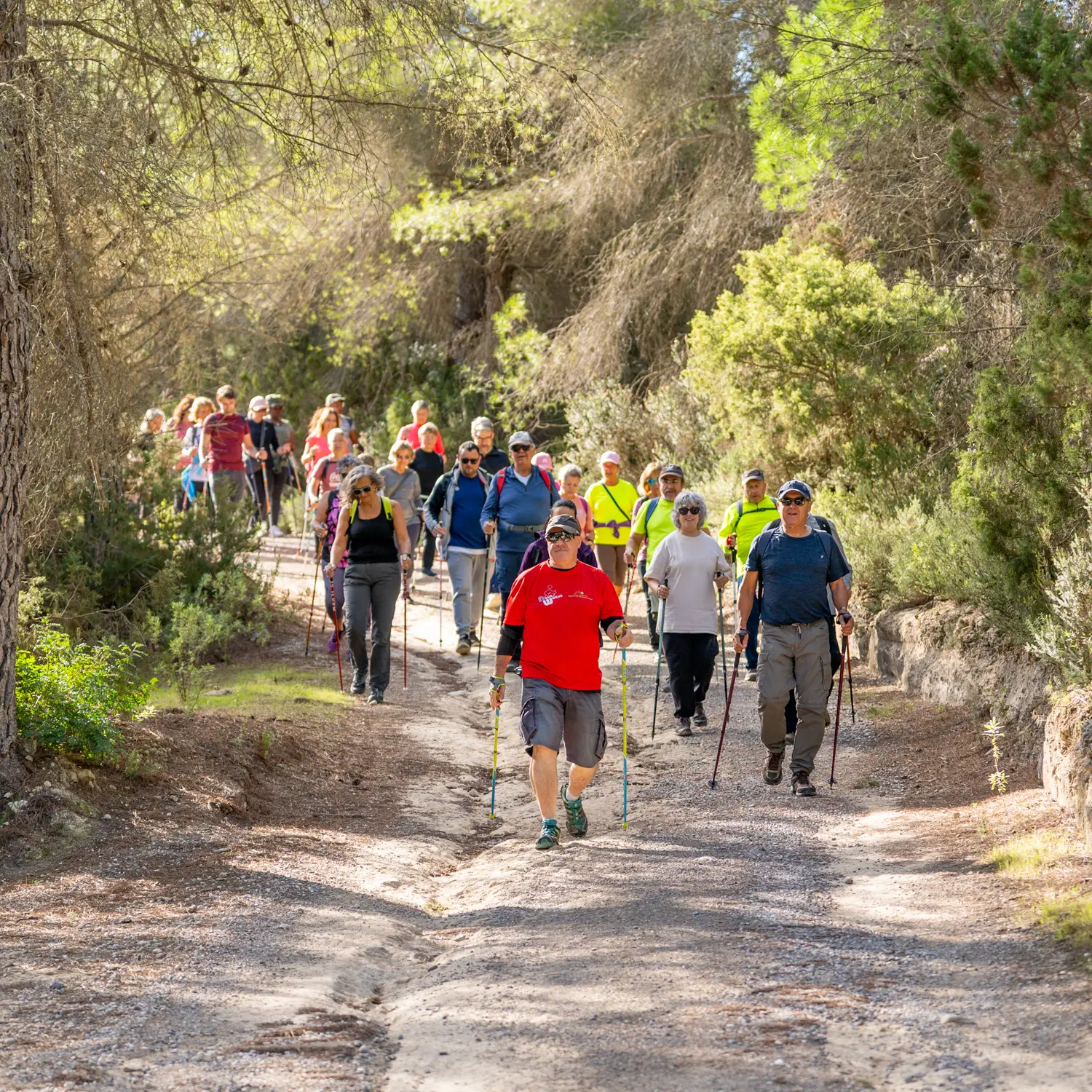 ¡A coger los bastones! Sant Antoni estrena nueva temporada de marcha nórdica con ocho rutas para todos
