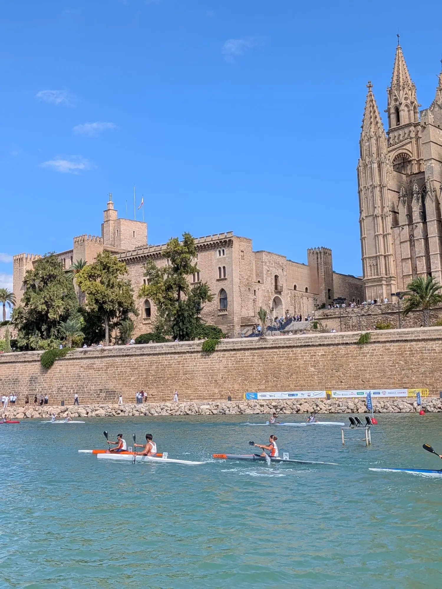 El Club Nàutic Sant Antoni vence por clubes y logra cuatro medallas en la Copa Balear de Otoño, en Palma