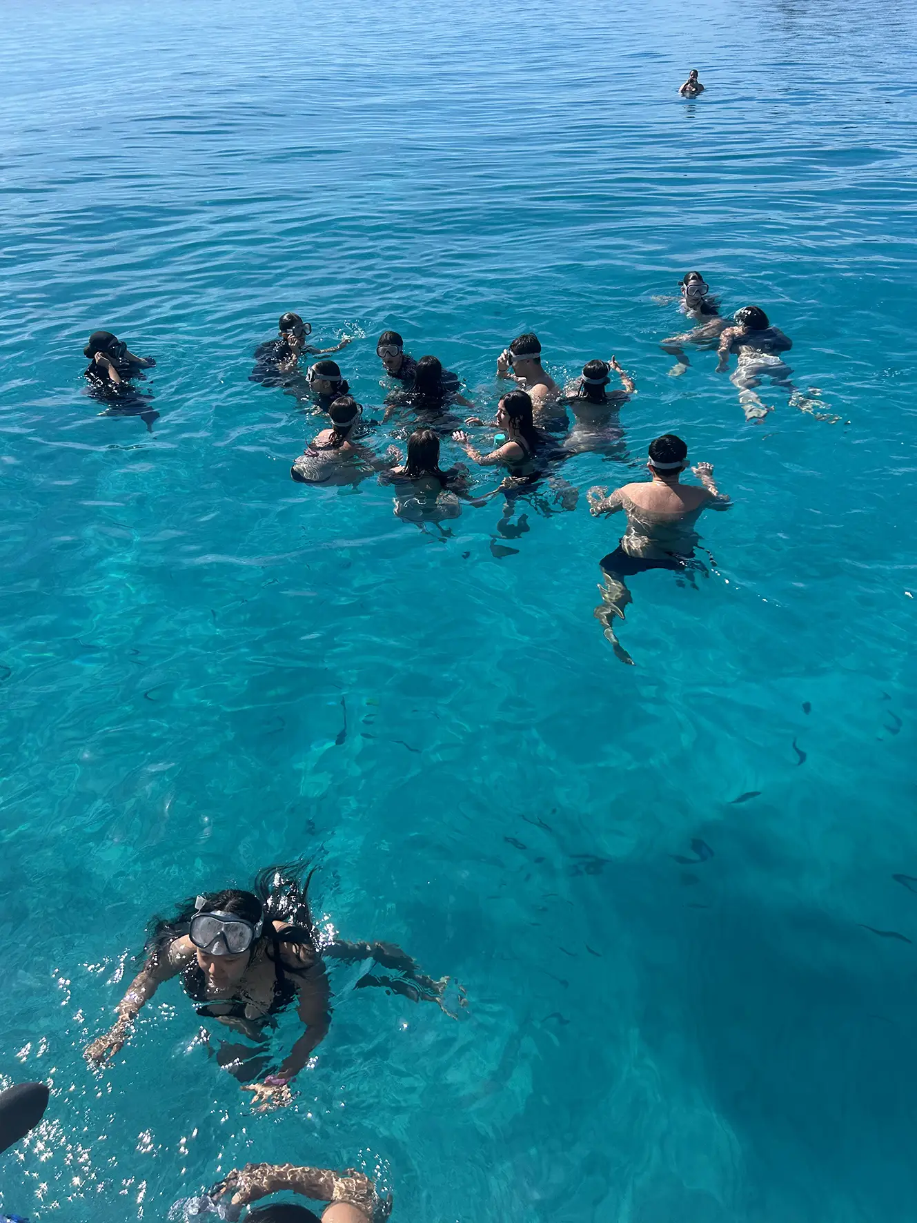 El programa «Jóvens per la mar» del Club Náutico Ibiza realiza la última salida al mar de esta edición 2026 al mar desde el puerto de Ibiza